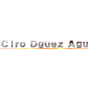 Ｃｉｒｏ Ｄｇｕｅｚ Ａｇｕｉｌａｒ (CDA)