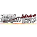 進撃の怡杉 (katsuku)