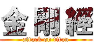 金 剛 經 (attack on titan)