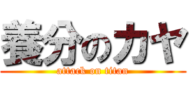 養分のカヤ (attack on titan)