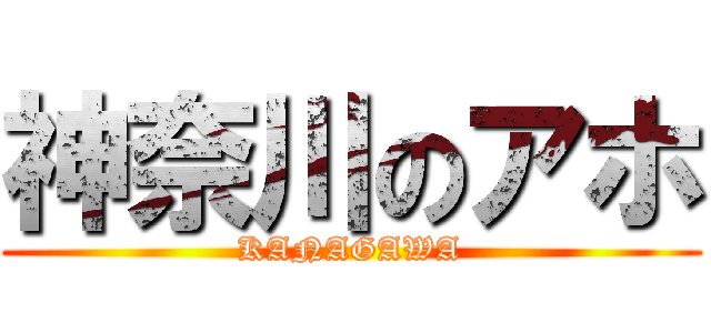 神奈川のアホ (KANAGAWA)