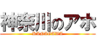 神奈川のアホ (KANAGAWA)