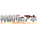 神奈川のアホ (KANAGAWA)