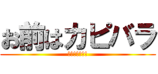 お前はカピバラ (マジでカピバラ)