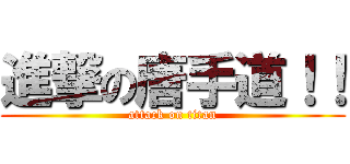 進撃の唐手道！！ (attack on titan)