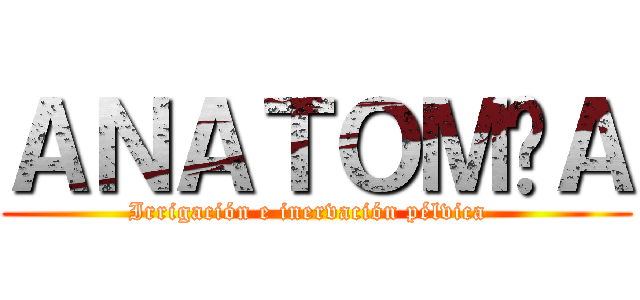ＡＮＡＴＯＭÍＡ (Irrigación e inervación pélvica  )