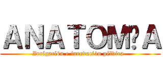 ＡＮＡＴＯＭÍＡ (Irrigación e inervación pélvica  )