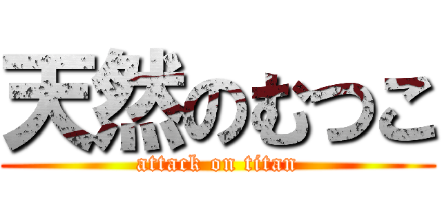 天然のむつこ (attack on titan)