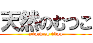 天然のむつこ (attack on titan)