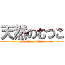 天然のむつこ (attack on titan)