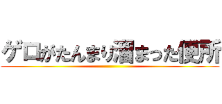 ゲロがたんまり溜まった便所 ()