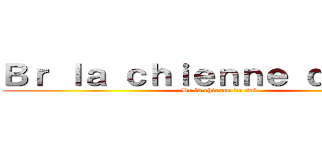 Ｂｒ ｌａ ｃｈｉｅｎｎｅ ｄｅ ｓｎｋ (Br la chienne de snk)