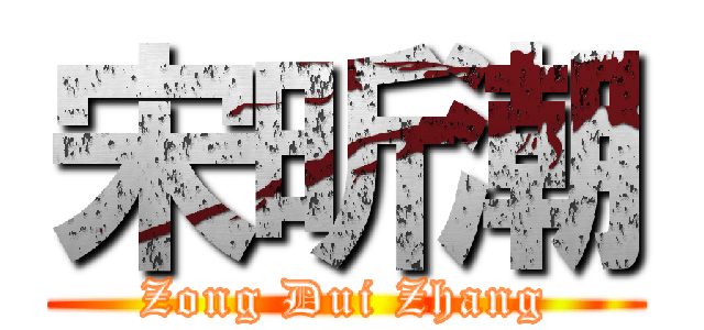 宋昕潮 (Zong Dui Zhang)