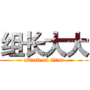 组长大大 (attack on titan)