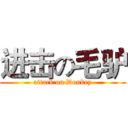 进击の毛驴 (attack on Donkey)