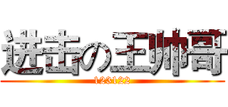 进击の王帅哥 (123122)