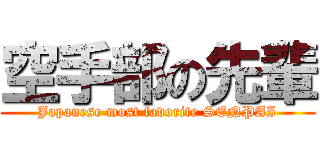 空手部の先輩 (Japanese most favorite SENPAI)