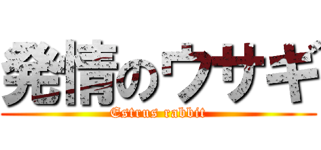 発情のウサギ (Estrus rabbit)