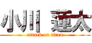 小川 蓮太 (attack on titan)