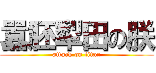 囂胚犁田の朕 (attack on titan)