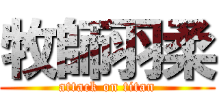 牧師羽柔 (attack on titan)