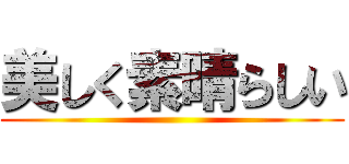 美しく素晴らしい ()