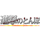 進撃のとんぼ (Attack on Por)