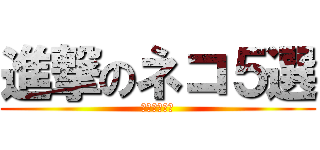 進撃のネコ５選 (ニャーニャー)