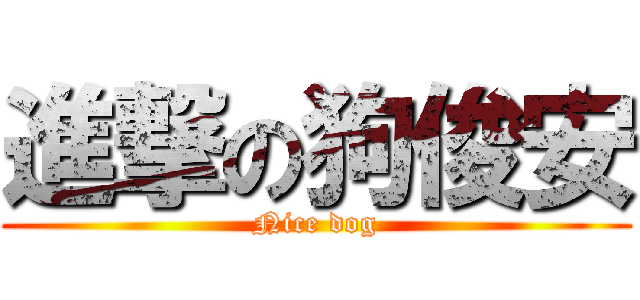 進撃の狗俊安 (Nice dog)