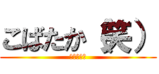 こばたか（笑） (ゲンゴロウ)