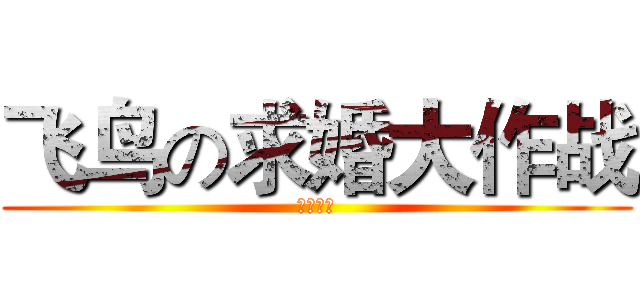 飞鸟の求婚大作战 (祝你好运)