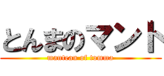 とんまのマント (manteau of tomma)