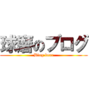 球磨のブログ (Blog bear)