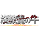 沒教養の牛 (Rude Cow)