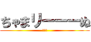 ちゃまリーーーぬ (１２３)