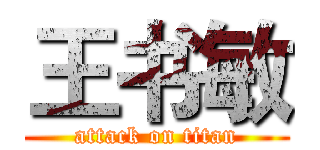 王书敏 (attack on titan)