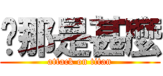 你那是甚麼 (attack on titan)