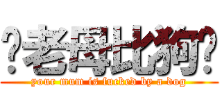 你老母比狗屌 (your mum is fucked by a dog)