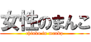 女性のまんこ (chinko in mankp)