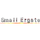 Ｓｍａｌｌ  Ｅｒｇａｔｅ (小工蟻)
