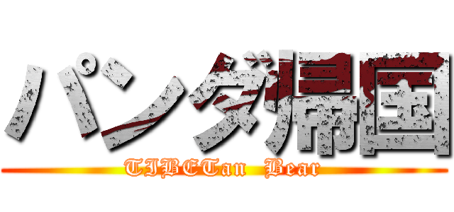パンダ帰国 (TIBETan  Bear)