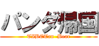 パンダ帰国 (TIBETan  Bear)