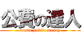 公費の達人 (waste public money)