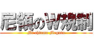 尼領のＷ規制 (Mi chiamo Meguta)