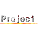 Ｐｒｏｊｅｃｔ  ()