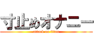 寸止めオナニー (attack on titan)