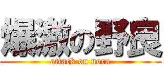 爆激の野良 (attack on nora)
