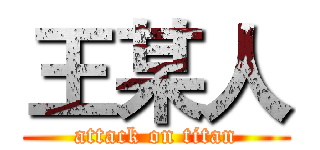 王某人 (attack on titan)