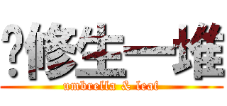 伞修生一堆 (umbrella & leaf)