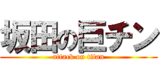 坂田の巨チン (attack on titan)